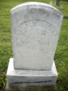 Bigelow, Adelle 1854-1891